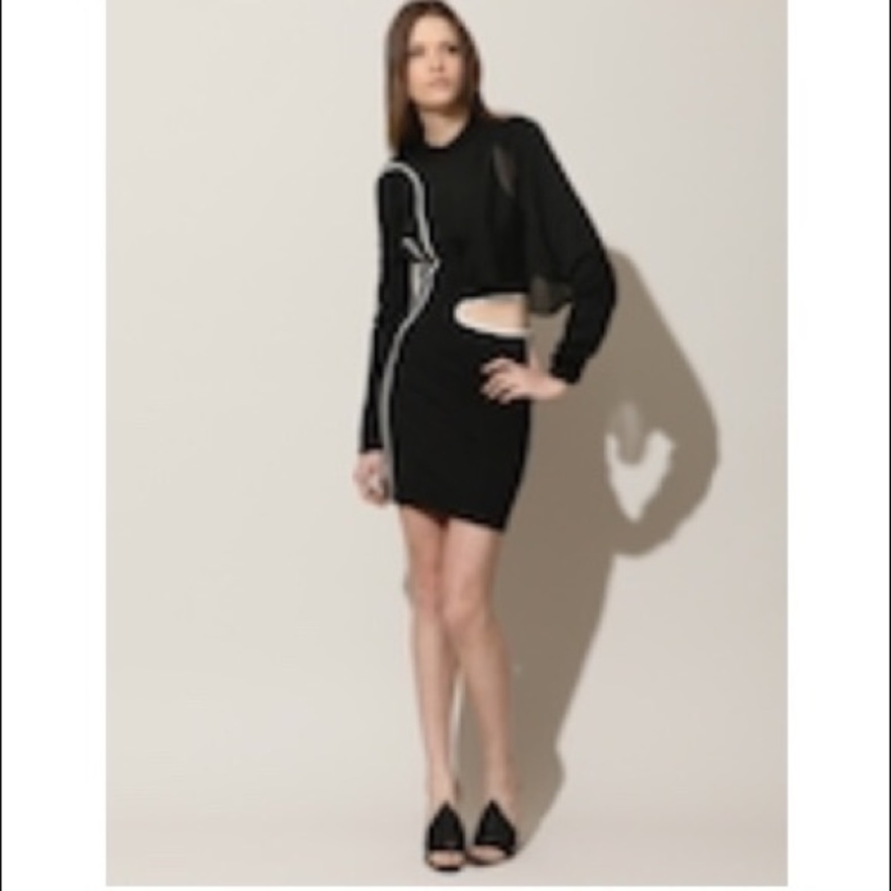 Authentic Alexander Wang pre-owned dress